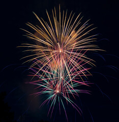 Beautiful Fireworks lighting the sky - 771523965