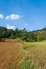 Fototapeta na wymiar Beautiful green landscape with hills near Wilson Dam in Bhandardara in Maharashtra, India