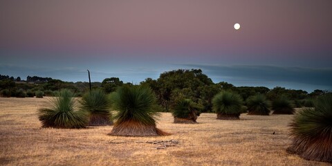 a grassy field with trees and a full moon over the horizon