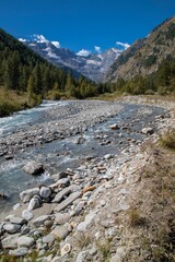 Barren rocky valley with a dry streambed in the foreground and mountains and trees in the back