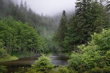 the trees line the water and is misty with mist in the background