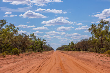 Red dirt road in diminishing perspective flanked by eucalyptus trees below a blue sky with cumulus clouds in outback country in Currawinya National Park in Queensland, Australia.