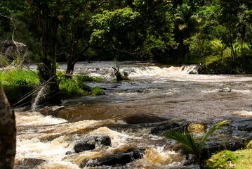 Naklejka na ściany i meble a river is running alongside rocks and some trees and grass
