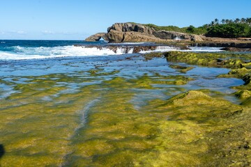 waves roll in on green algae - covered rocks, as the sun shines through