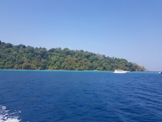 Fototapeta premium sea, look under the fish, thailand