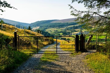 Old rural gate in the Wicklow Mountains