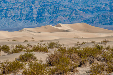 Sand dunes at Mesquite Flats. Death Valley National Park in Inyo County of Mojave Desert, California is the hottest place on earth with a temperature of 56,7 °C recorded in 1913. - 771537336