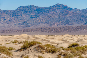 Sand dunes at Mesquite Flats. Death Valley National Park in Inyo County of Mojave Desert, California is the hottest place on earth with a temperature of 56,7 °C recorded in 1913. - 771537359