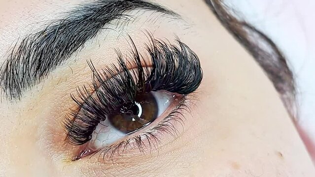 Close up of eye with eyelash extensions ,beauty salon treatment ,2d volume, 3d volume, classical lashes,Russian volume,megavolume, new set.