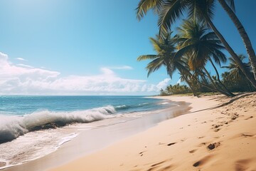 Fototapeta na wymiar Beautiful beach. View of nice tropical beach with palms around.