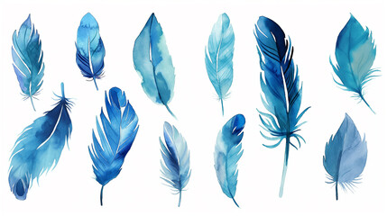 Penas de pássaro azul em aquarela no fundo branco - obrazy, fototapety, plakaty