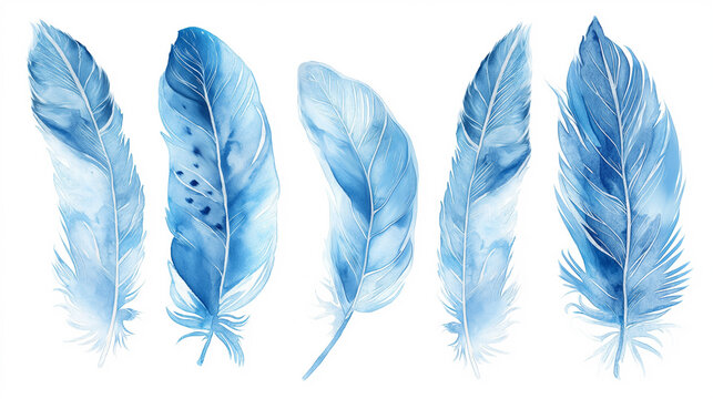 Penas de pássaro azul em aquarela no fundo branco