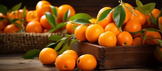 Several pieces of citrus fruit are placed on a rustic wooden table, including oranges, tangerines,...