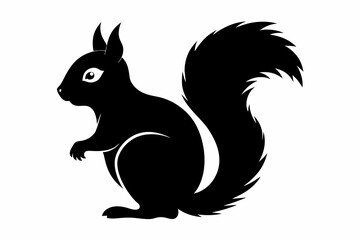 The squirrel black silhouette with white background.
