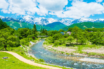 新緑の白馬村と残雪の北アルプス © Mugi