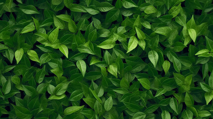 Obraz premium Green leaves realistic seamless background