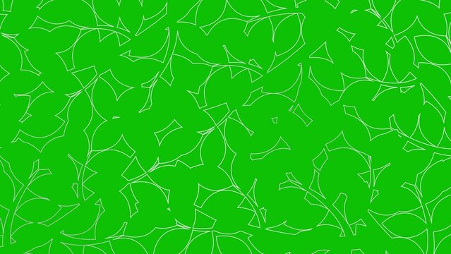 Animated linear floral background. Line silver leaves on branch is drawn gradually. Concept of gardening, ecology, nature. Vector illustration isolated on green background