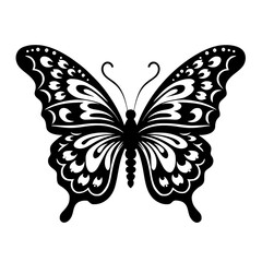butterfly