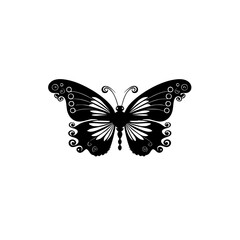 butterfly illustration