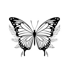 Fototapeta premium butterfly