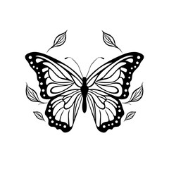 butterfly illustration