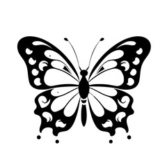 black and white butterfly