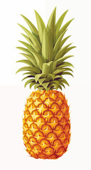 Fresh pineapple fruits isolated on a white background, Closeup single whole pineapple fruit