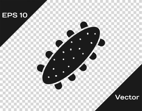 Black Sea cucumber icon isolated on transparent background. Marine food. Vector.
