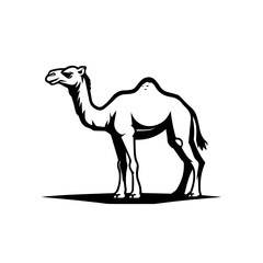 Simple black silhouette SVG of a camel, white background 