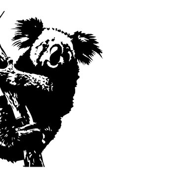 Koala, simple silhouette, black, white background