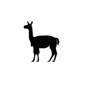 A minimalistic simple vector logo of one black lama on white background