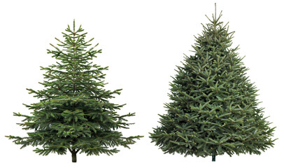 christmast tree collection removed original bakground PNG transparent - obrazy, fototapety, plakaty