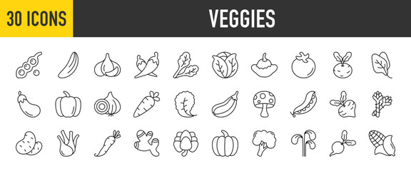 30 Veggies icons set. Containing Garlic, Chilli Pepper, Celery, Cabbage, Pattypan, Tomato, Cucumber, Kohlrabi, Spinach, Eggplant, Paprika, Onion and Carrot more Vector illustration collection.