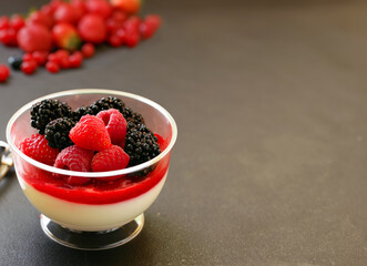 creamy panna cotta dessert with fresh berries