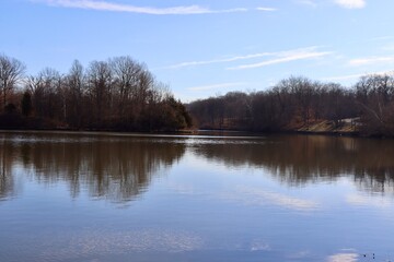 The calm lake in the woods on a sunny day.