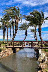 Wooden small bridge on palms and sea background in Torremolinos, Spain
