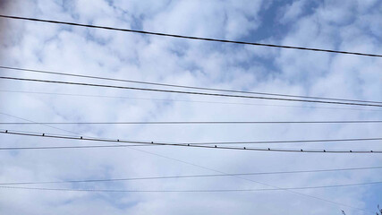 Cables on blue sky, electrical line, 	
