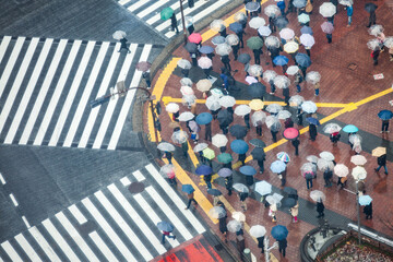 People waiting at Shibuya Crossing on a rainy day, Tokyo, Japan - 771599701