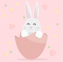 Easter white bunny in a pink shell from a chicken egg. Pink background with elements such as paws, circles. Vector illustration, isolated.