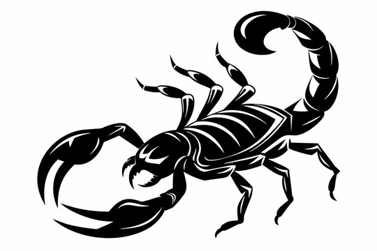 Aggressive black and white scorpion for tattoos vector illustration 