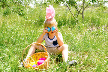 Easter egg hunt. Little boy child kid in bunny ears having fun,picking up eggs in grass,in garden. Easter holiday tradition. Baby with basket full of colorful eggs