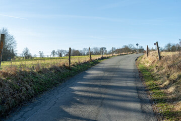 Dirt road in a rural landscape with trees and hedgerows