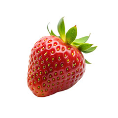 3d fly realistic isolated strawberry fruit