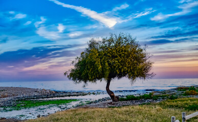 atardeceres maritimos benidorm costa blanca