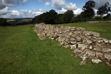 Along the Hadrian's wall between Chollerford and Heddon-on-the-Wall - Northumberland - England - UK © Collpicto
