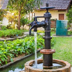 Nature's Oasis: Serene Hand Pump Amidst Verdant Greenery"