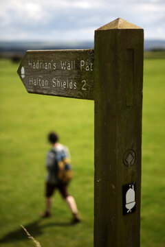 Along the Hadrian's wall between Chollerford and Heddon-on-the-Wall - Northumberland - England - UK