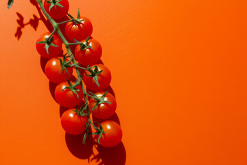 Tomatoes on a branch with a orange background