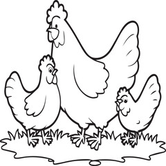 Chicken coloring pages. Chicken outline vector for coloring book