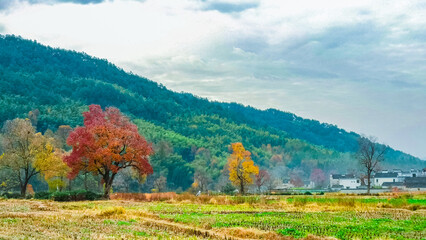 Huangshan City, Anhui Province-Hongcun Scenery